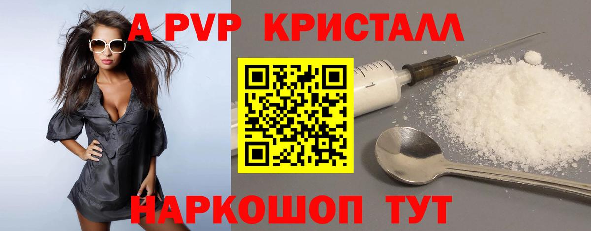 Альфа ПВП СК КРИС Ачхой-Мартан