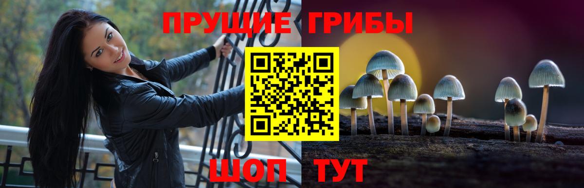 Ачхой-Мартан  Галлюциногенные грибы MAGIC MUSHROOMS  Вход с VPN  Псилоцибиновые грибы Magic Shrooms 